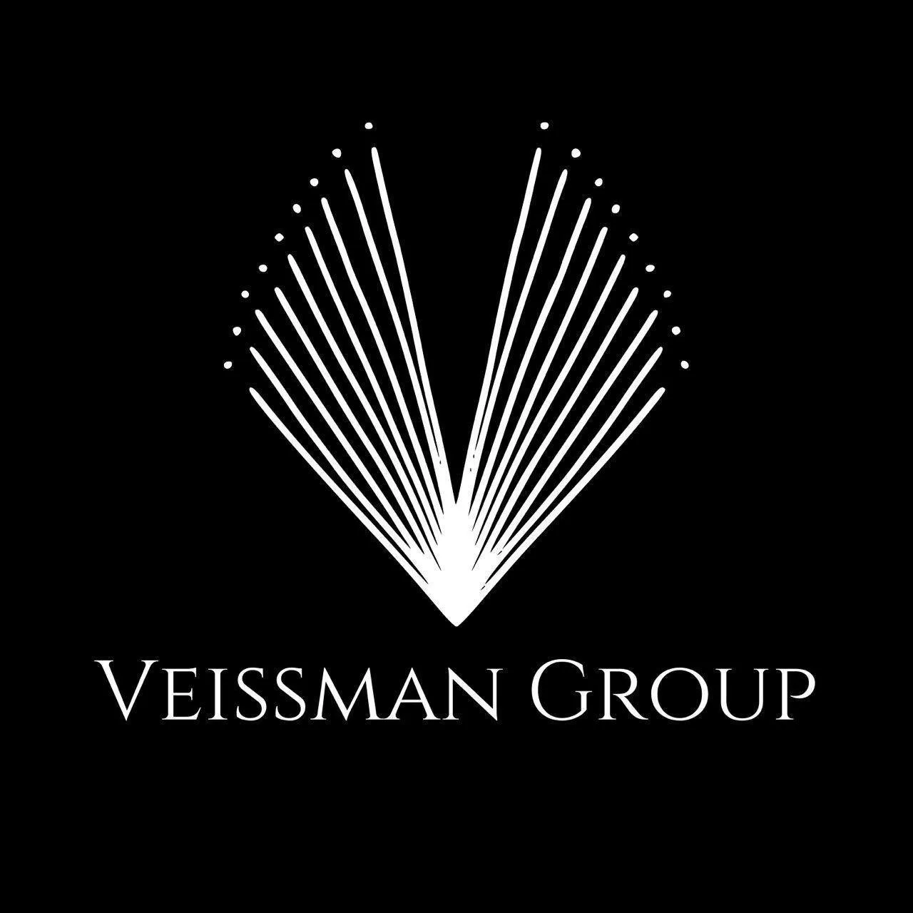Veissman Group Enterprise Logo