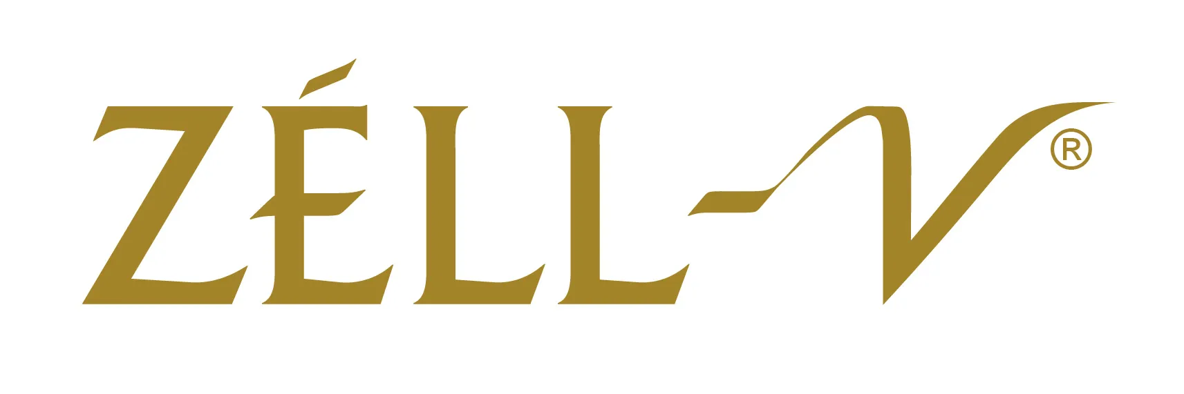 RUYI TRADING SDN BHD Logo