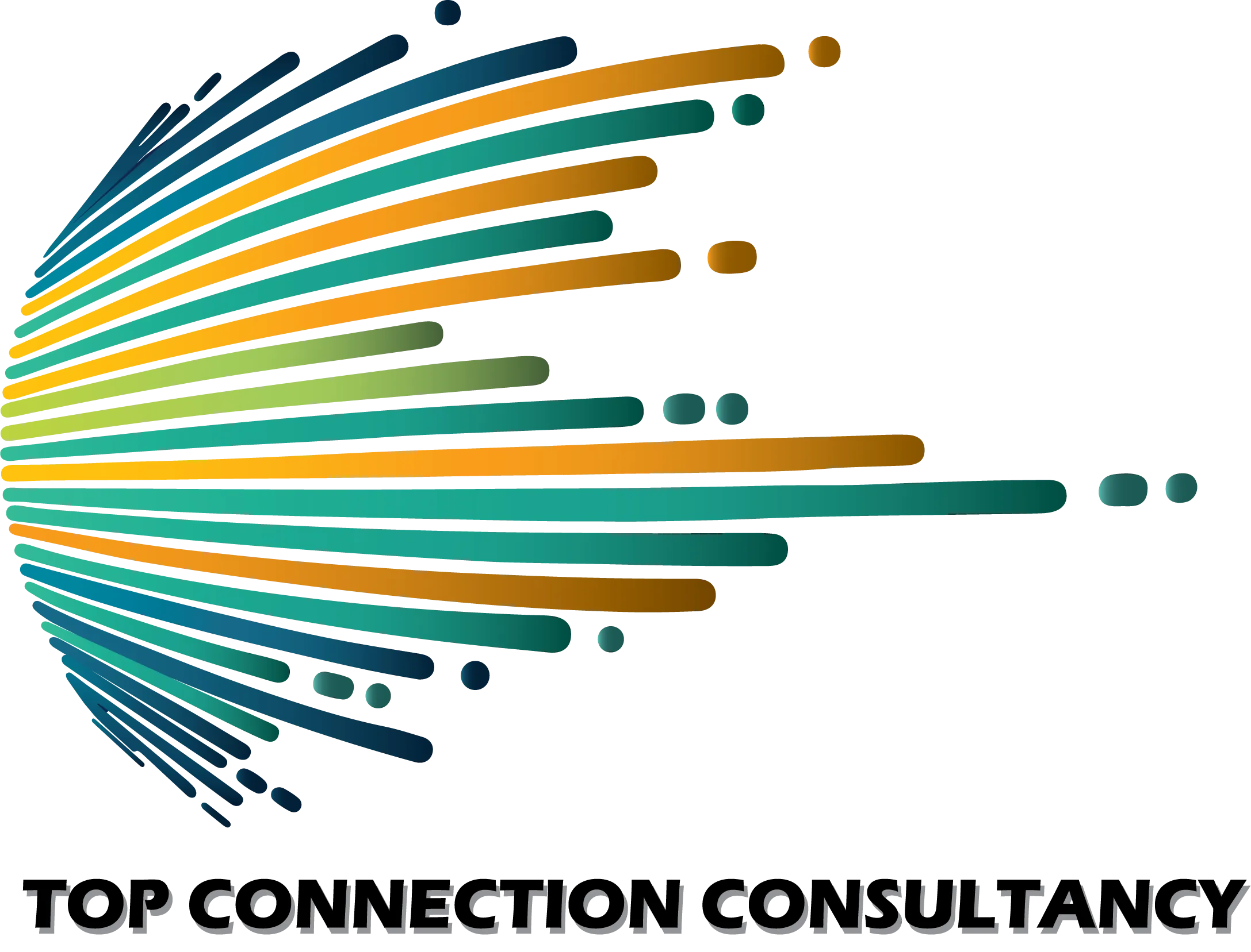 Top Connection Consultancy Logo