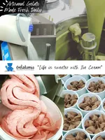 Life is sweeter with Ice Cream (36 × 48 in).jpg