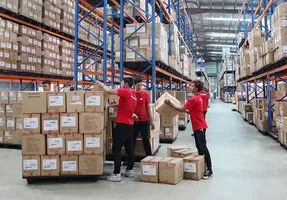 WhatsApp Image 2025-03-11 at 15.23.37.jpeg