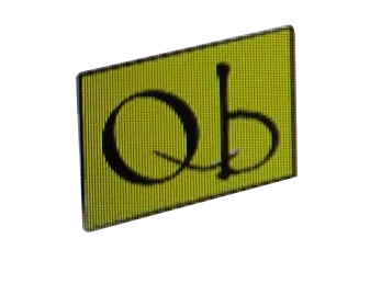 QUICKBOOK MANAGEMENT PLT Logo