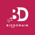 Big Domain Sdn Bhd Logo
