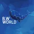 BW World Sdn Bhd Logo
